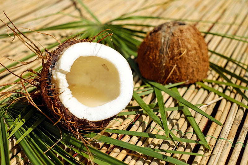 Argan Oil vs Coconut Oil