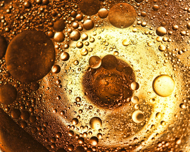 Everything You Need To Know About Argan Oil & Its Benefits